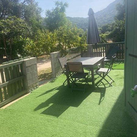 Appartement Proche Du Depart Du Gr20 Calenzana Ngoại thất bức ảnh