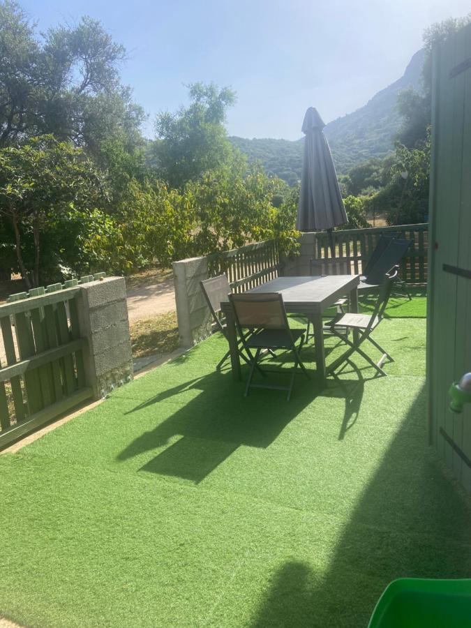 Appartement Proche Du Depart Du Gr20 Calenzana Ngoại thất bức ảnh